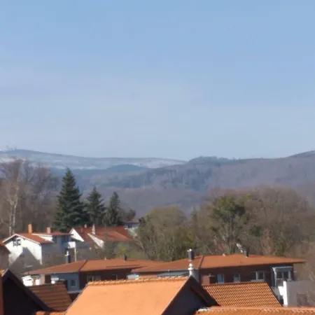 Fewo Kleine Oase Apartment Wernigerode